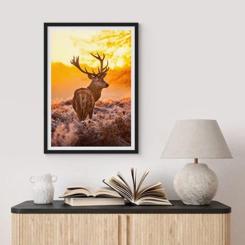 Poster in einem schwarzem Rahmen - König des Herbstwaldes - 50x70 cm