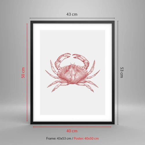 Poster in einem schwarzem Rahmen - Krabbe aller Krabben - 40x50 cm