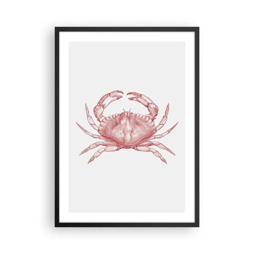 Poster in einem schwarzem Rahmen - Krabbe aller Krabben - 50x70 cm