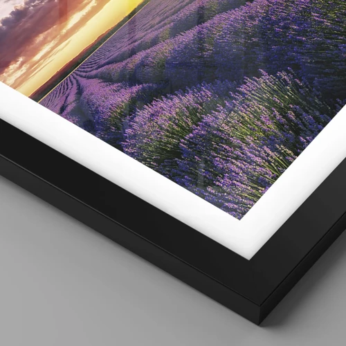Poster in einem schwarzem Rahmen - Lavendel Welt - 30x40 cm
