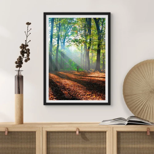 Poster in einem schwarzem Rahmen - Licht und Schatten - 50x70 cm