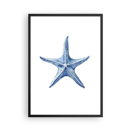 Poster in einem schwarzem Rahmen - Stern des Meeres - 50x70 cm