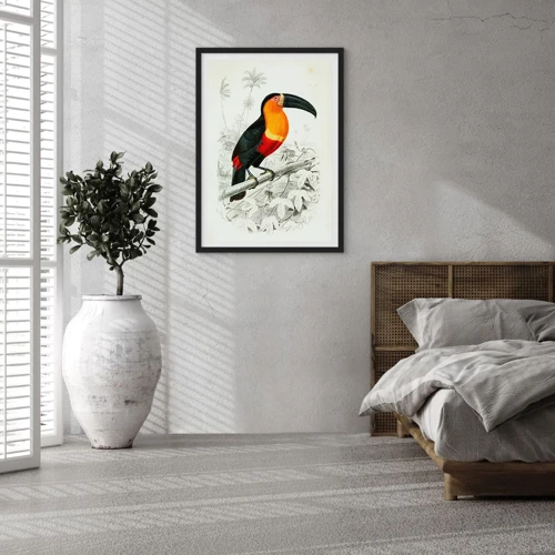 Poster in einem schwarzem Rahmen - Vogelfarben - 50x70 cm