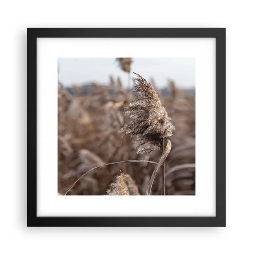 Poster in einem schwarzem Rahmen - Zeit, mit dem Wind zu gehen - 30x30 cm