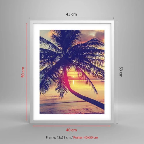 Poster in einem weißen Rahmen - Abend unter Palmen - 40x50 cm