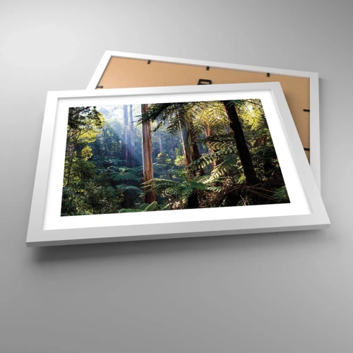 Poster in einem weißen Rahmen - Ein Waldmärchen - 40x30 cm