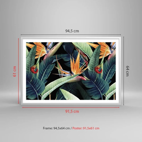 Poster in einem weißen Rahmen - Flammende Blumen der Tropen - 91x61 cm