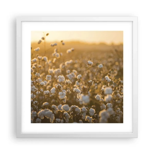 Poster in einem weißen Rahmen - Fluffiges Feld - 40x40 cm