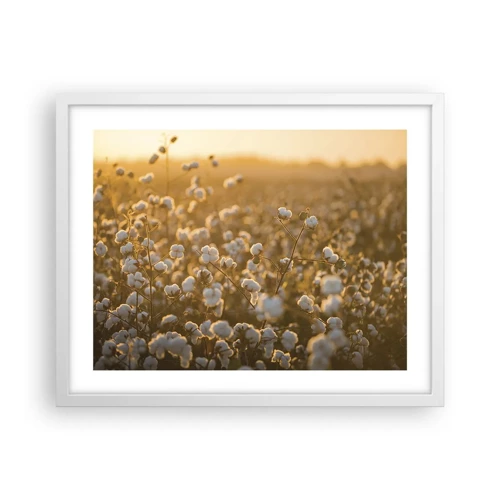 Poster in einem weißen Rahmen - Fluffiges Feld - 50x40 cm