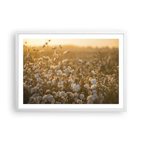 Poster in einem weißen Rahmen - Fluffiges Feld - 70x50 cm