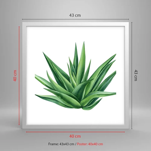 Poster in einem weißen Rahmen - Grün – Kraft – Leben - 40x40 cm