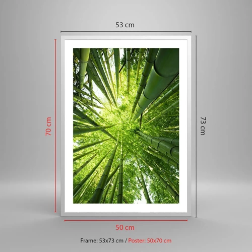 Poster in einem weißen Rahmen - In einem Bambushain - 50x70 cm