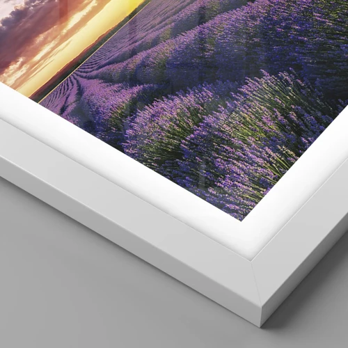 Poster in einem weißen Rahmen - Lavendel Welt - 100x70 cm