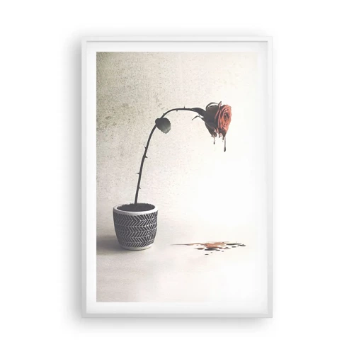 Poster in einem weißen Rahmen - Rosa dolorosa - 61x91 cm