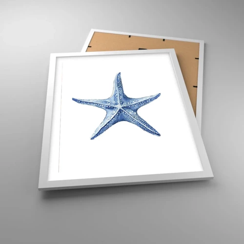 Poster in einem weißen Rahmen - Stern des Meeres - 40x50 cm