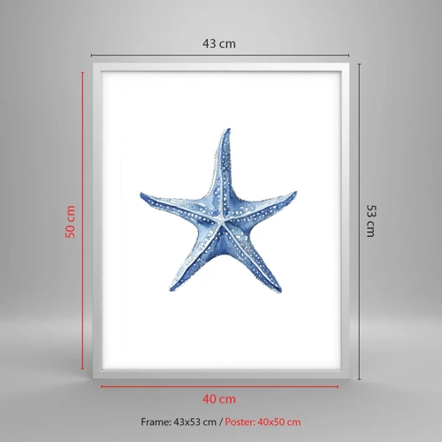 Poster in einem weißen Rahmen - Stern des Meeres - 40x50 cm