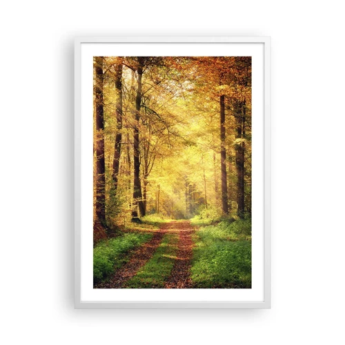 Poster in einem weißen Rahmen - Waldgoldene Stille - 50x70 cm