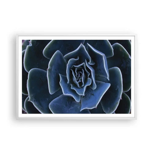 Poster in einem weißen Rahmen - Wüstenblume - 100x70 cm