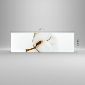 Glasbild - Bild auf glas - Von Natur aus weich - 160x50 cm