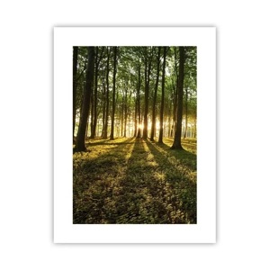 Poster - Alle Frühlingsfotografie - 30x40 cm