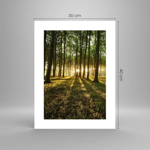 Poster - Alle Frühlingsfotografie - 30x40 cm