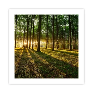 Poster - Alle Frühlingsfotografie - 50x50 cm