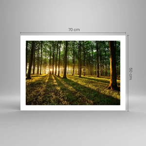 Poster - Alle Frühlingsfotografie - 70x50 cm