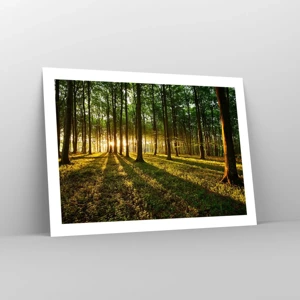 Poster - Alle Frühlingsfotografie - 70x50 cm