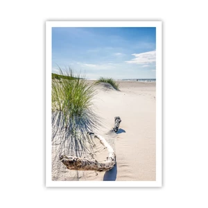 Poster - Der schönste Strand? Ostsee-Strand - 70x100 cm