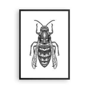 Poster in einem schwarzem Rahmen - Von einem Insektenplaneten - 50x70 cm