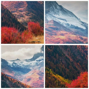 Poster in einem weißen Rahmen - Alpenherbst - 70x100 cm