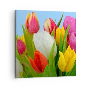 Bild auf Leinwand - Leinwandbild - Ein blumiger Regenbogen in Tautropfen - 50x50 cm