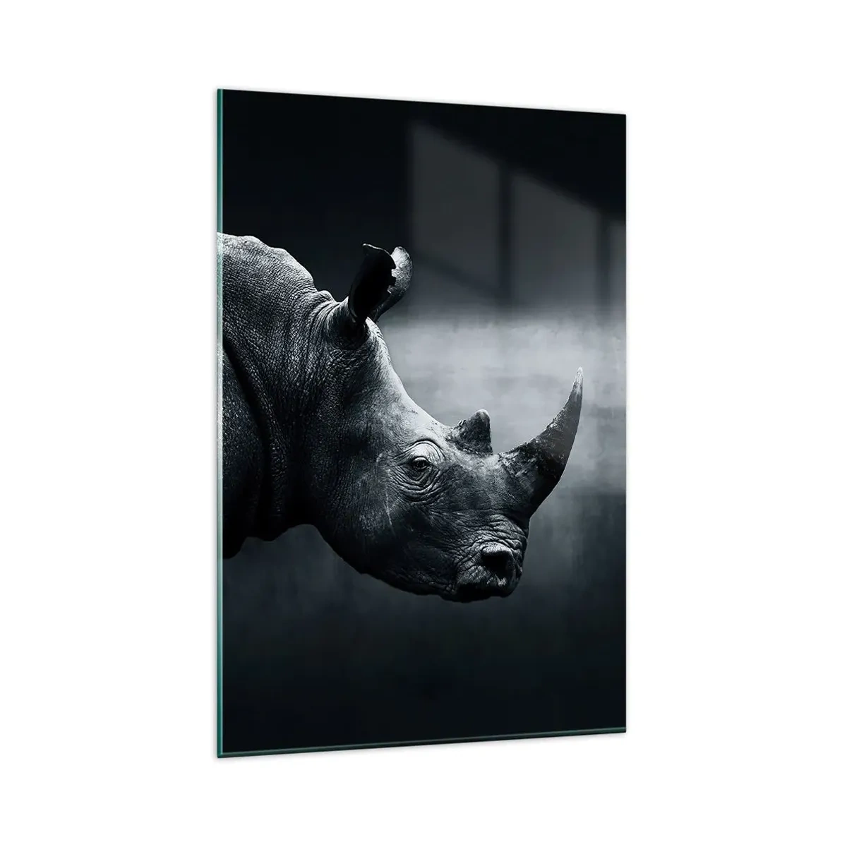 Glasbild - Bild auf glas - Schwarz-Weiß-Porträt eines Nashorns vor dunklem Hintergrund - 80x120cm - Richtiges Profil - Moderne Wanddekoration für Wohnzimmer und Schlafzimmer ARTTOR