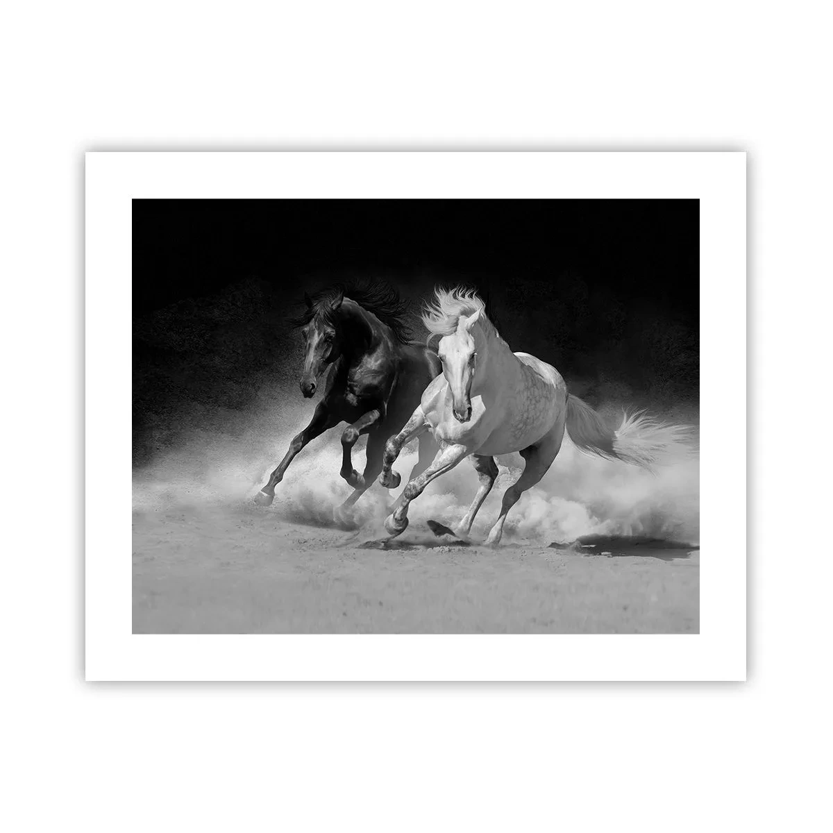 Poster - Galopp der Freiheit - 50x40 cm