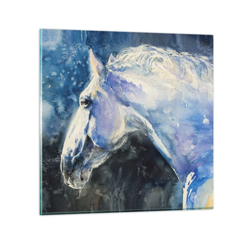 Glasbild - Bild auf glas - Porträt in blauem Glanz - 30x30 cm