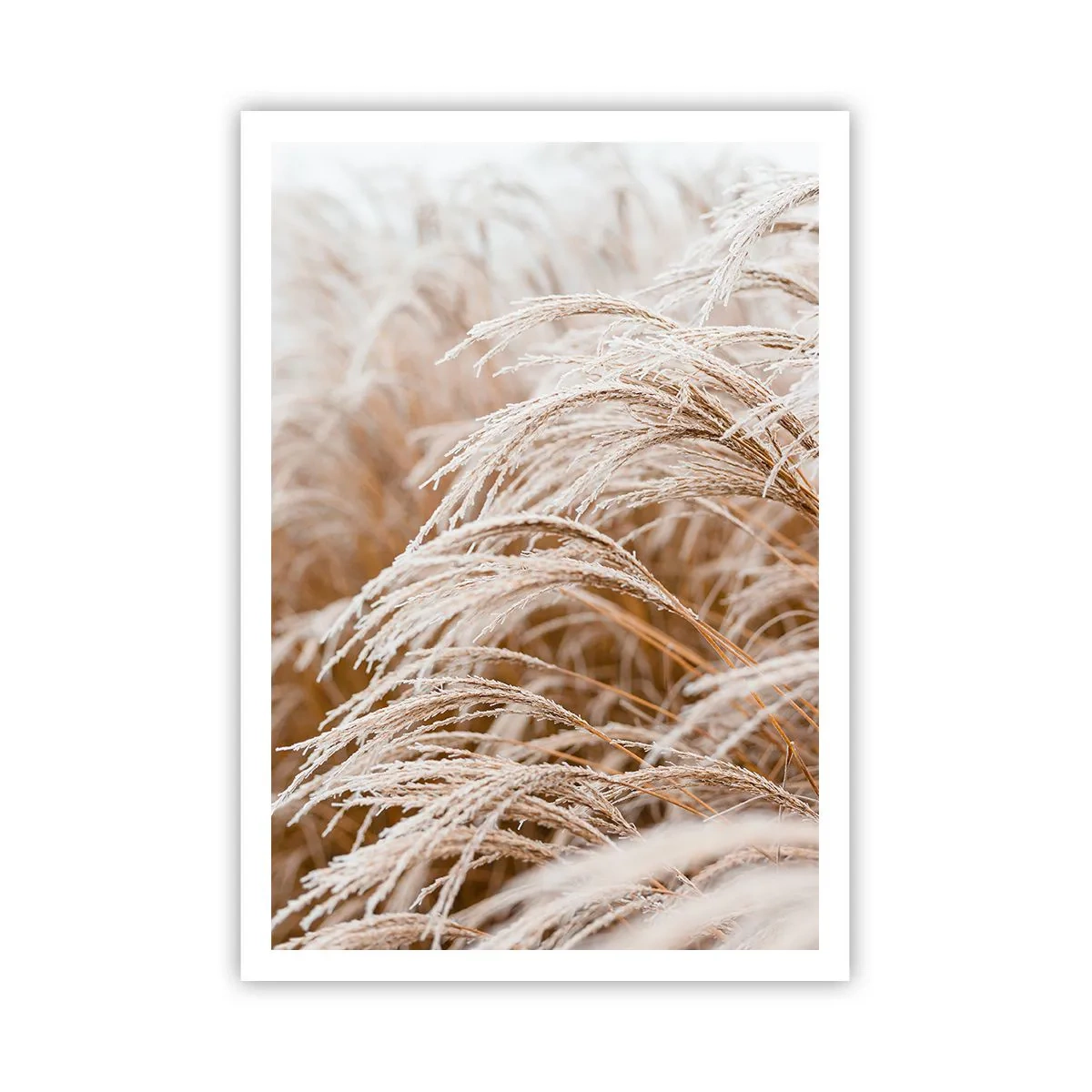 Poster - Verbeuge dich vor der Herbstsonne - 70x100 cm