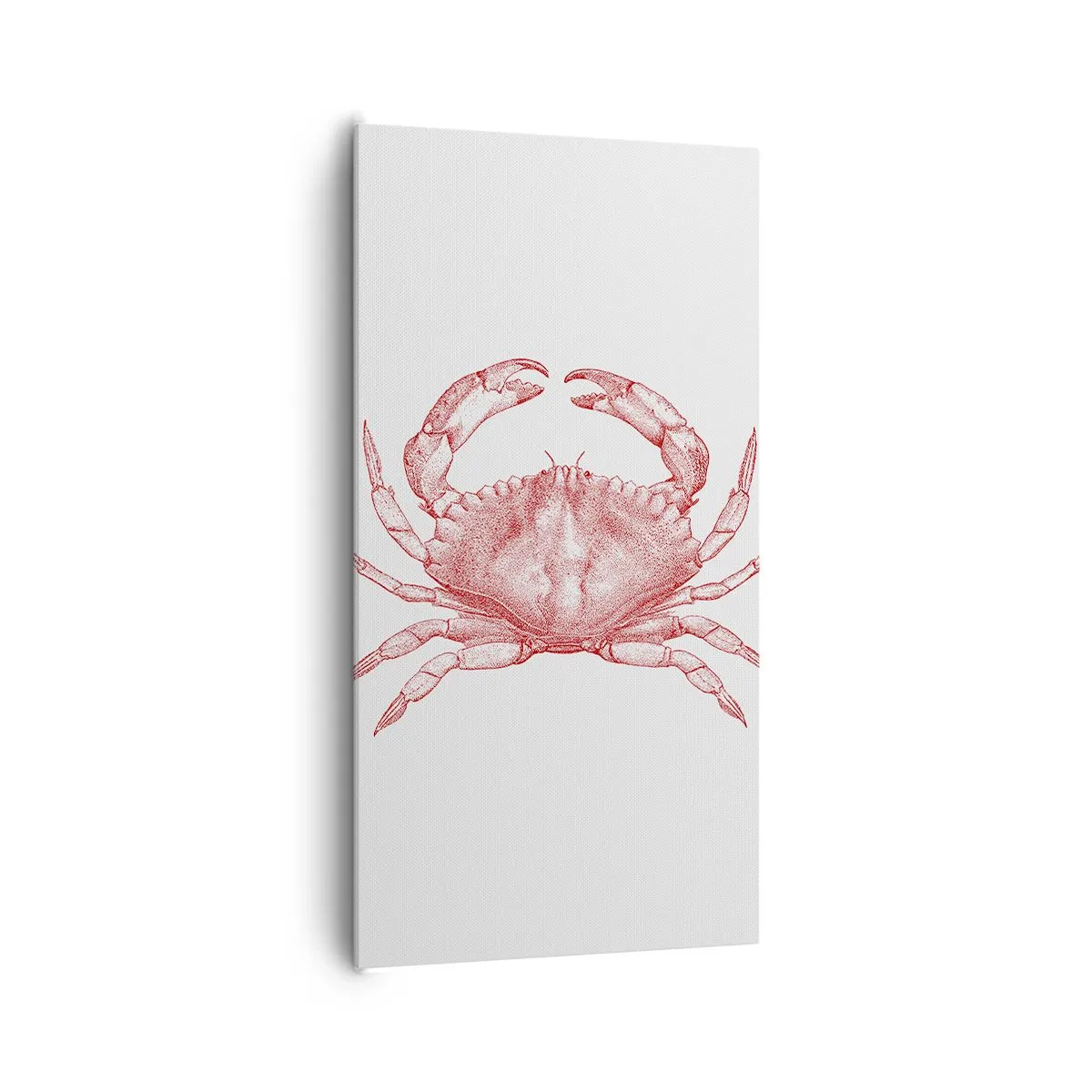 Bild auf Leinwand - Leinwandbild - Krabbe aller Krabben - 65x120 cm