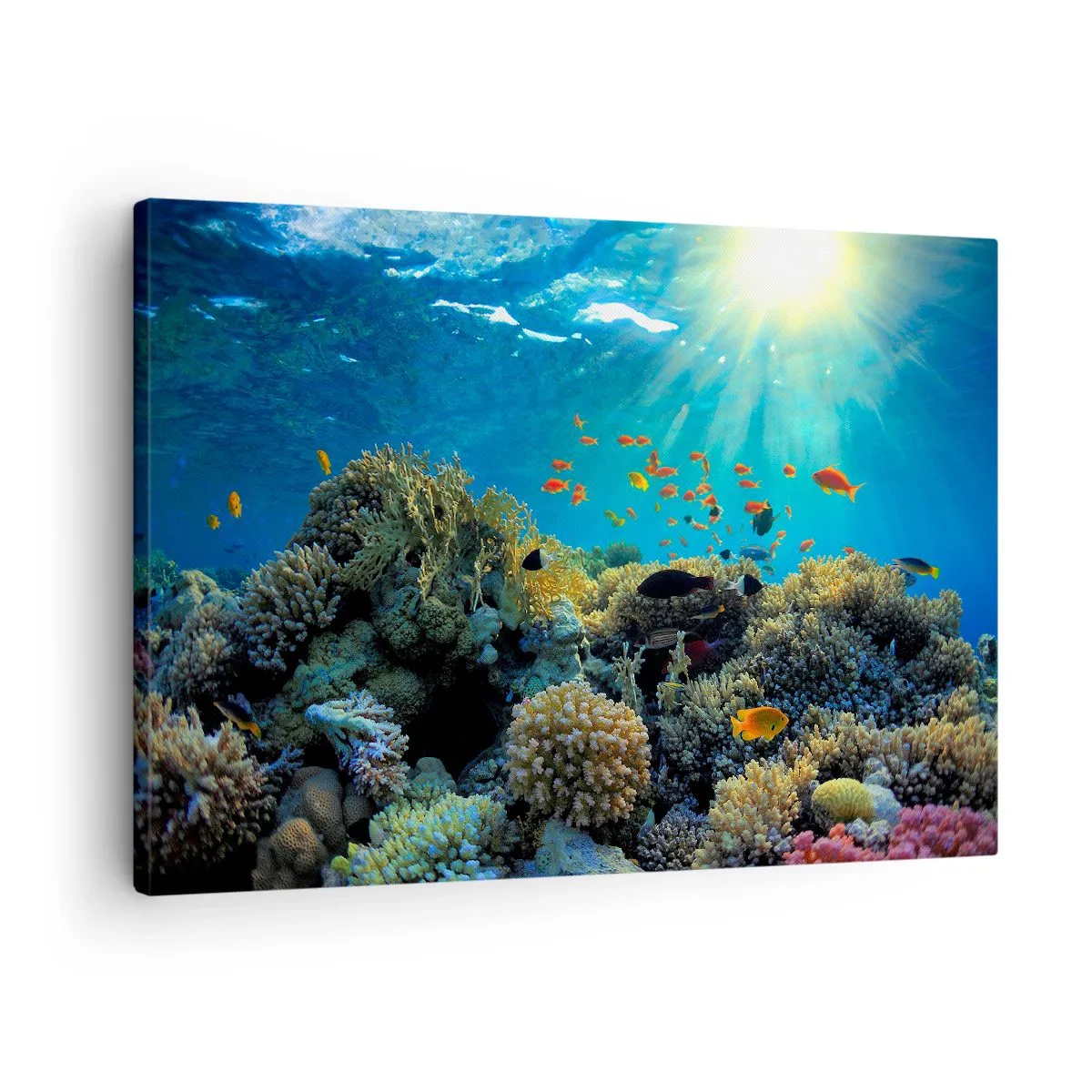 Bild auf Leinwand - Leinwandbild - Korallenriff mit Fischen in den Sonnenstrahlen unter Wasser - 70x50cm - Unterwasserschätze - Moderne Wanddekoration für Wohnzimmer und Schlafzimmer ARTTOR