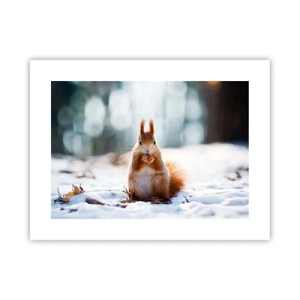 Poster - Wo schaust du hin? - 40x30 cm