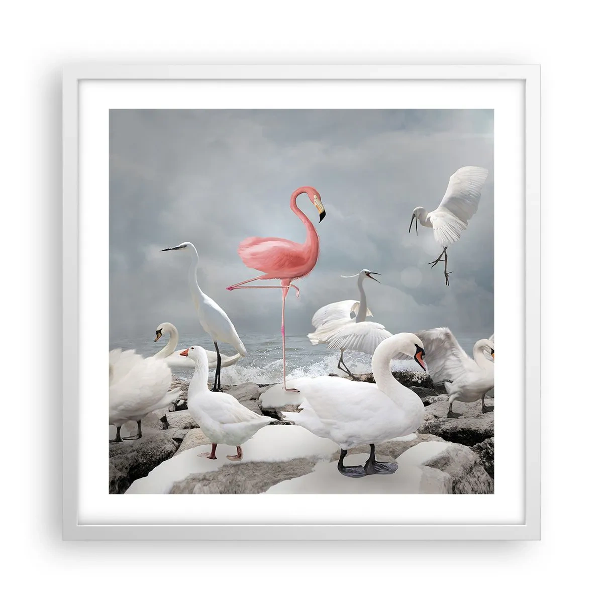 Poster in einem weißen Rahmen - Wie kam ich hier hin? - 50x50 cm