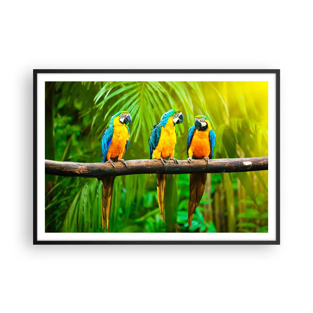 Poster in einem schwarzem Rahmen - Drei bunte Papageien vor einem Hintergrund aus tropischem Grün - 100x70cm - Und hast du gehört, dass sie ...? - Moderne Wanddekoration für Wohnzimmer und Schlafzimmer ARTTOR