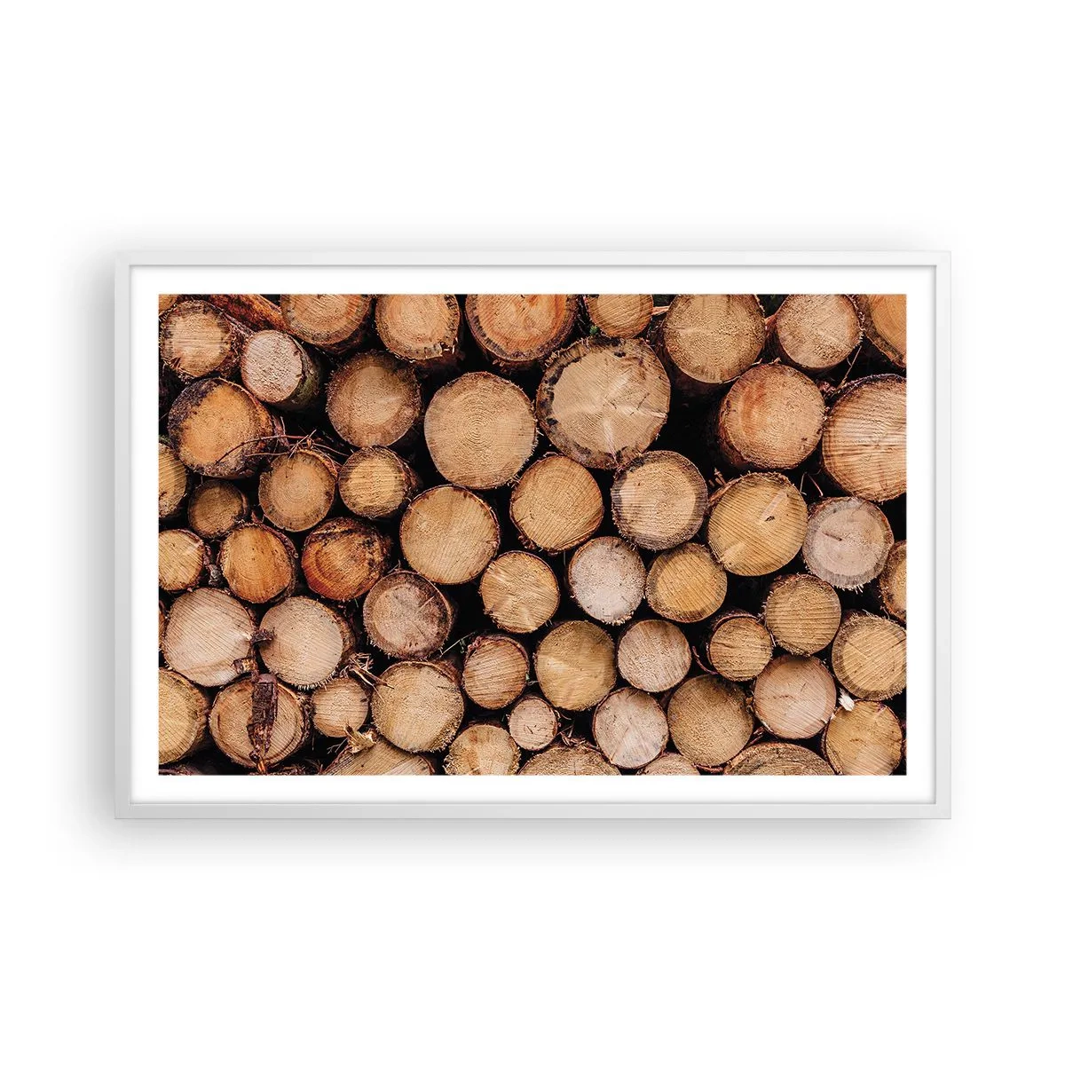 Poster in einem weißen Rahmen - Ein neuer Anfang - 91x61 cm