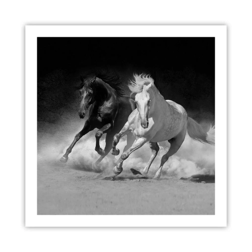 Poster - Galopp der Freiheit - 60x60 cm