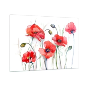 Glasbild - Bild auf glas - Aquarell rote Mohnblumen auf weißem Hintergrund - 100x70cm - Polnische Blumen - Moderne Wanddekoration für Wohnzimmer und Schlafzimmer ARTTOR