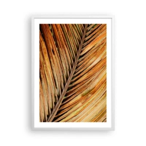 Poster in einem weißen Rahmen - Kokosnuss-Gold - 50x70 cm
