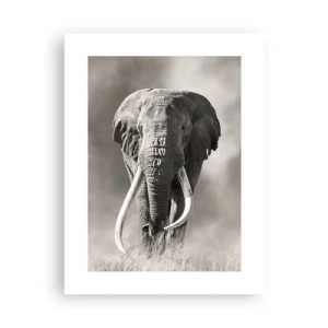 Poster - Afrikanischer Patriarch - 30x40 cm