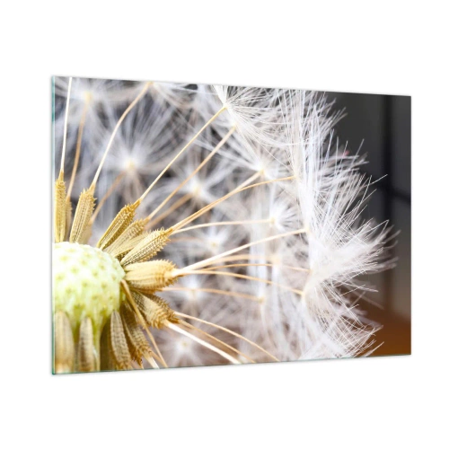 Glasbild - Bild auf glas - Nahaufnahme eines Löwenzahns mit zarten Samen - 100x70cm - Kurz vor dem Abflug - Moderne Wanddekoration für Wohnzimmer und Schlafzimmer ARTTOR