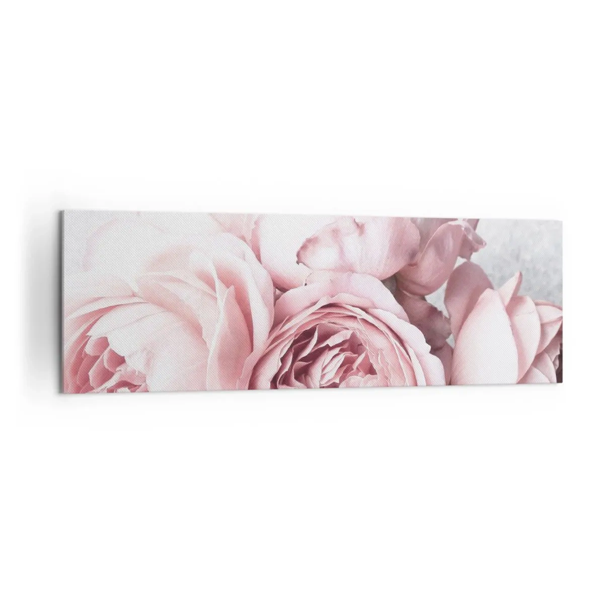 Bild auf Leinwand - Leinwandbild - Rosa Pfingstrosen in sanftem Licht vor hellem Hintergrund - 160x50cm - Für Romantiker - Moderne Wanddekoration für Wohnzimmer und Schlafzimmer ARTTOR