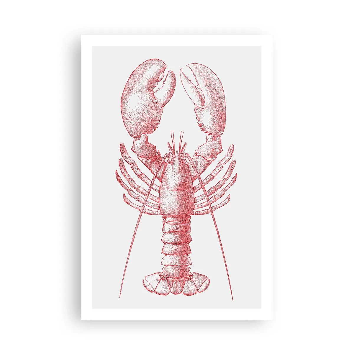 Poster - Hummer, der Homers würdig ist - 61x91 cm