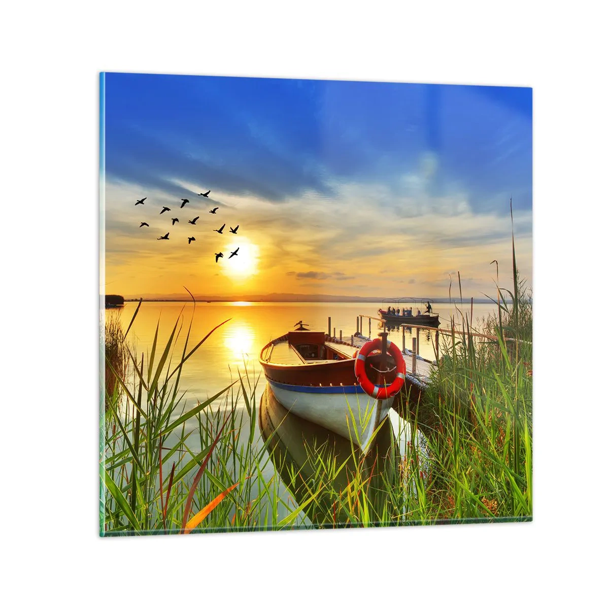 Glasbild - Bild auf glas - Die Kormorane fliegen schon weg - 30x30 cm